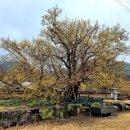 계척시목지 이미지