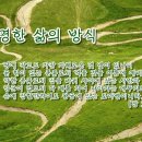 일예화말씀묵상 2019년 5월 22일 (수) - 달리기의 천재 치타가 슬픈 이유 이미지