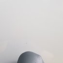 한스카