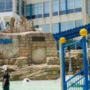 청년고기장수삼척점 이미지