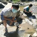 원동초등학교이천분교 이미지