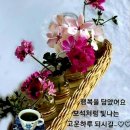 아름다운기억 이미지