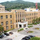 하얀민들레 이미지