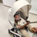애슐리퀸즈갤러리아센터시티 이미지