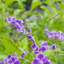 신명약국 이미지