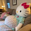 갤러리안경 명장점 | [임산부 일기] 16주, 성별 확인, 어지러움, 변비없는 철분제, 임산부 종합검진 예정, 임산부 필라테스