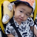 명일농장 이미지