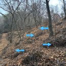 더나농장 이미지