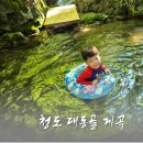 물고을 민박 | 청도 대동골 계곡 물놀이 후기 및 이용 정보