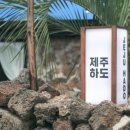 제주숨비투어 이미지