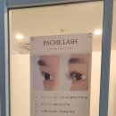 파체래쉬 속눈썹펌&속눈썹연장