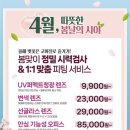 으뜸50안경 다산역점 이미지