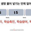 세렌디피터 이미지