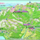 527 이미지
