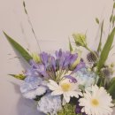 젠플라워(Jen flower)