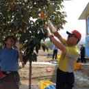 태선농장 이미지