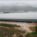 봉황농장 이미지