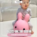 (주)이안애니멀헬스 | 안전하게 균형감각키우기 어린이짐볼 이고진 애니멀 점핑볼