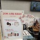 프랑소와펫 신세계대전점 | 대전 신세계 고디바 베이커리 (스프링 프로모션 정보, 웨이팅 후기)