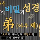 아우 弟 이미지