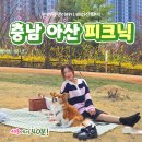 아산시청소년문화의집 | 충청도 피크닉 명소 충남 아산 지산공원에서 반려견과 힐링