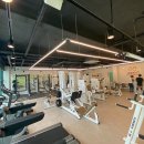 Wayfit PT 이미지