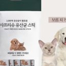 슈펫 - 청주시 흥덕구 장구봉로29번길 28 | 슈펫