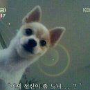 내품에동물병원 이미지