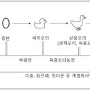 농업회사법인 오비아코리아유한회사 이미지