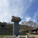 [대구근교] 도동서원 - 은행나무 명소 실시간 후기