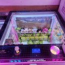 토이 뽑기랜드 4호점 이미지