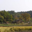 선한부자농장 이미지