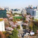 서강대학교 이미지