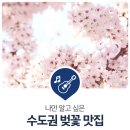 광명스피돔 자전거대여소(코로나로 인해 임시 운영 중단) | 나만 알고 싶은 수도권 벚꽃 맛집 5