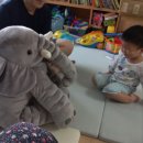 유호세탁 이미지