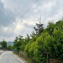 죽연마을회관 앞 이미지