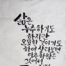 캘리그래피 Daum카페