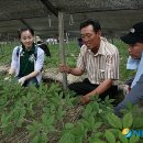 신평농협 하나로마트 이미지