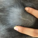 마더스동물병원 이미지