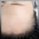 제이제이스칼프 이미지