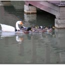 아리힐스(짚와이어) 이미지