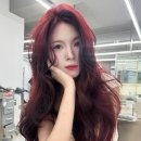 2039 | 레드바이올렛 염색 물빠짐 후기✨ 블랙빼기 이벤트 가격까지 완전 솔직 리뷰
