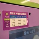 포도알 사물함