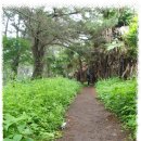 월평막걸리식당 이미지