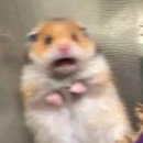 기장정형외과의원 이미지