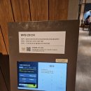 울산 남구) 삼산 현대백화점 아이와 함께 가기 좋은 식당&lt;크레이지카츠 현대백화점 울산점&gt;