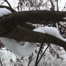 제눈에 안경 이미지