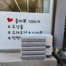 도넛몽