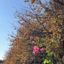 신서울 | 서울 서초구ㅣ양재천 카페거리 근처 맛집 &lt;신서울 뼈해장국&gt; 내돈내산 후기