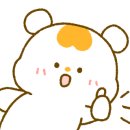 혼키(honki) 이미지